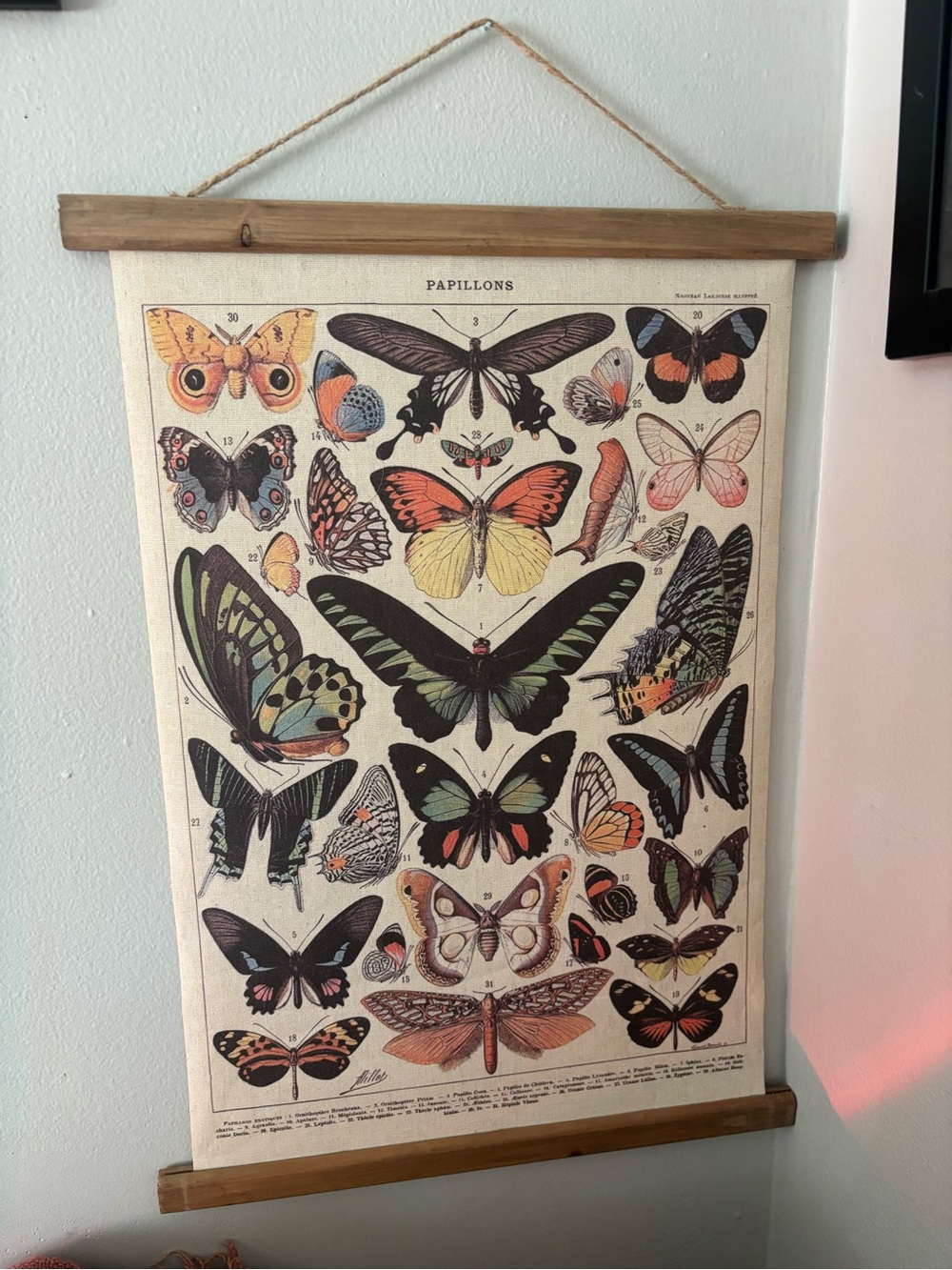 Vintage-Inspired Butterfly Wall Art Poster - Multi-Color